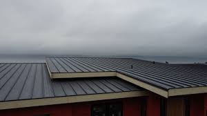 Best Sheet Metal Roofing  in Harvard, NE